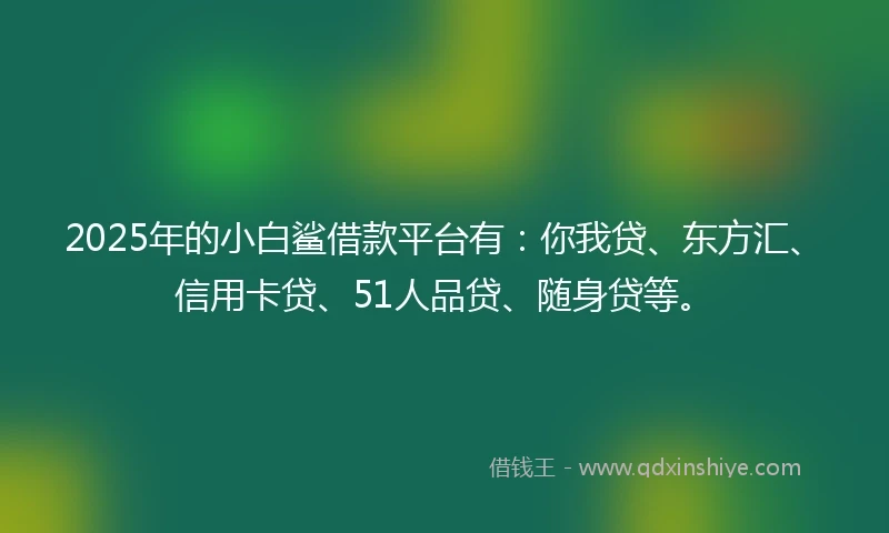 2025年的小白鲨借款平台有：你我贷、东方汇、信用卡贷、51人品贷、随身贷等。