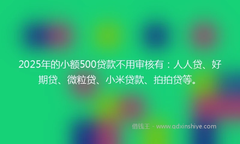 2025年的小额500贷款不用审核有：人人贷、好期贷、微粒贷、小米贷款、拍拍贷等。