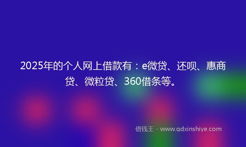 2025年的个人网上借款有：e微贷、还呗、惠商贷、微粒贷、360借条等。