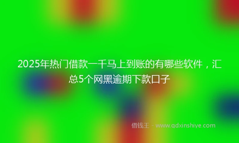 2025年热门借款一千马上到账的有哪些软件，汇总5个网黑逾期下款口子