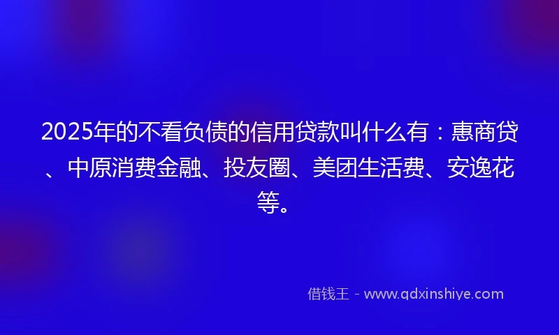 2025年的不看负债的信用贷款叫什么有：惠商贷、中原消费金融、投友圈、美团生活费、安逸花等。