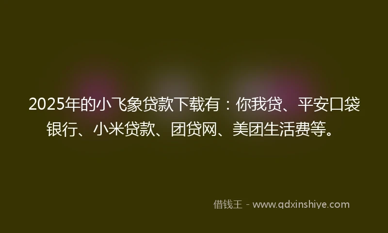 2025年的小飞象贷款下载有：你我贷、平安口袋银行、小米贷款、团贷网、美团生活费等。