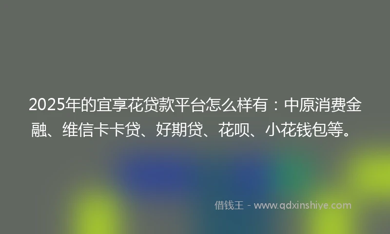 2025年的宜享花贷款平台怎么样有：中原消费金融、维信卡卡贷、好期贷、花呗、小花钱包等。