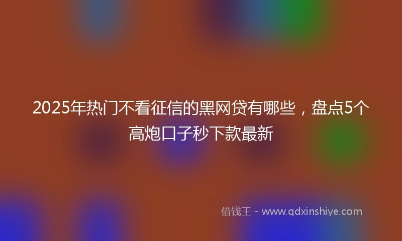 2025年热门不看征信的黑网贷有哪些，盘点5个高炮口子秒下款最新