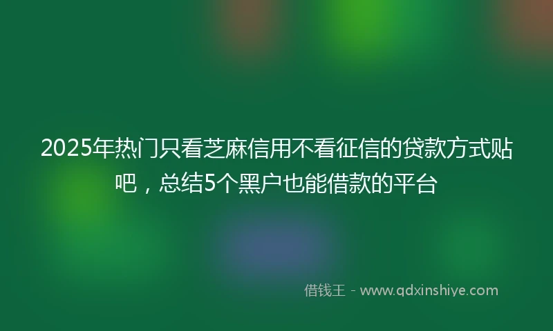 2025年热门只看芝麻信用不看征信的贷款方式贴吧，总结5个黑户也能借款的平台