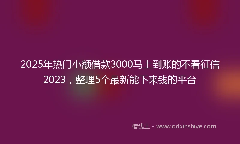 2025年热门小额借款3000马上到账的不看征信2023，整理5个最新能下来钱的平台