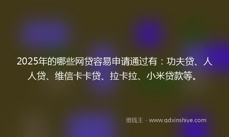 2025年的哪些网贷容易申请通过有：功夫贷、人人贷、维信卡卡贷、拉卡拉、小米贷款等。