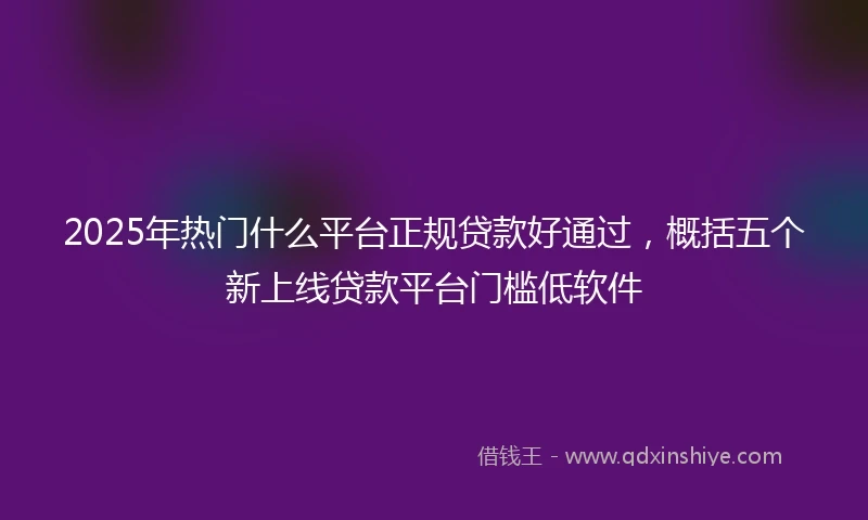 2025年热门什么平台正规贷款好通过，概括五个新上线贷款平台门槛低软件