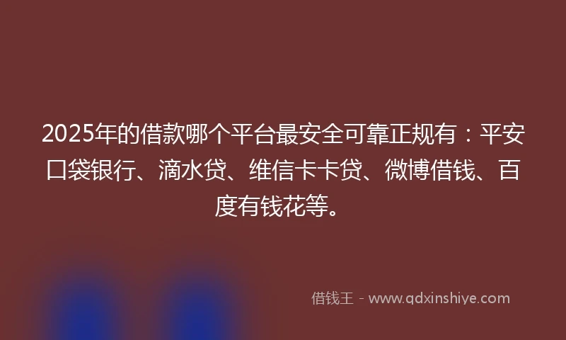 2025年的借款哪个平台最安全可靠正规有：平安口袋银行、滴水贷、维信卡卡贷、微博借钱、百度有钱花等。