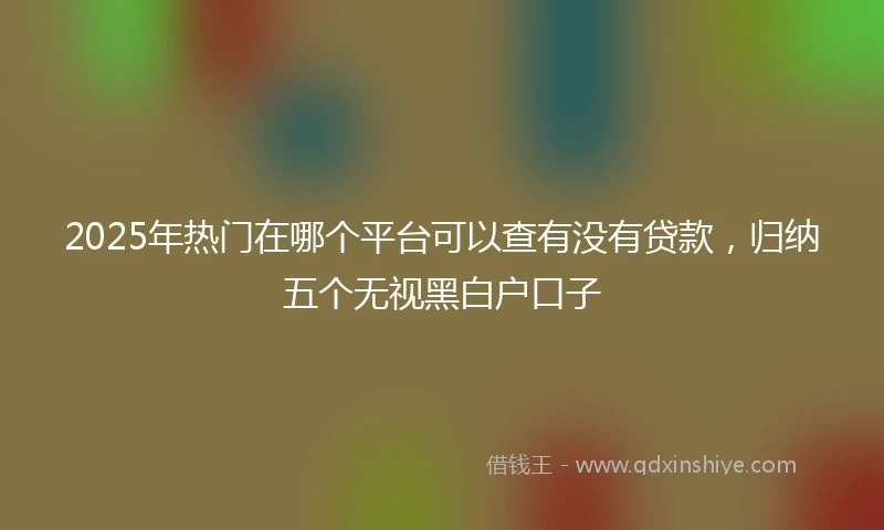 2025年热门在哪个平台可以查有没有贷款，归纳五个无视黑白户口子