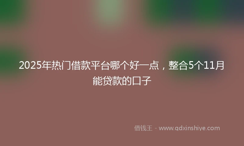 2025年热门借款平台哪个好一点，整合5个11月能贷款的口子