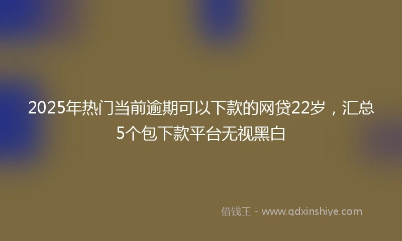 2025年热门当前逾期可以下款的网贷22岁，汇总5个包下款平台无视黑白