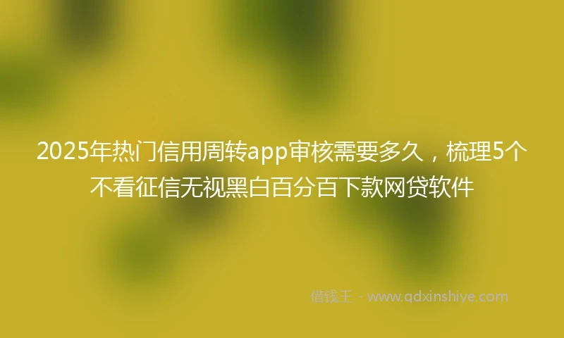 2025年热门信用周转app审核需要多久，梳理5个不看征信无视黑白百分百下款网贷软件