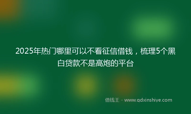 2025年热门哪里可以不看征信借钱，梳理5个黑白贷款不是高炮的平台