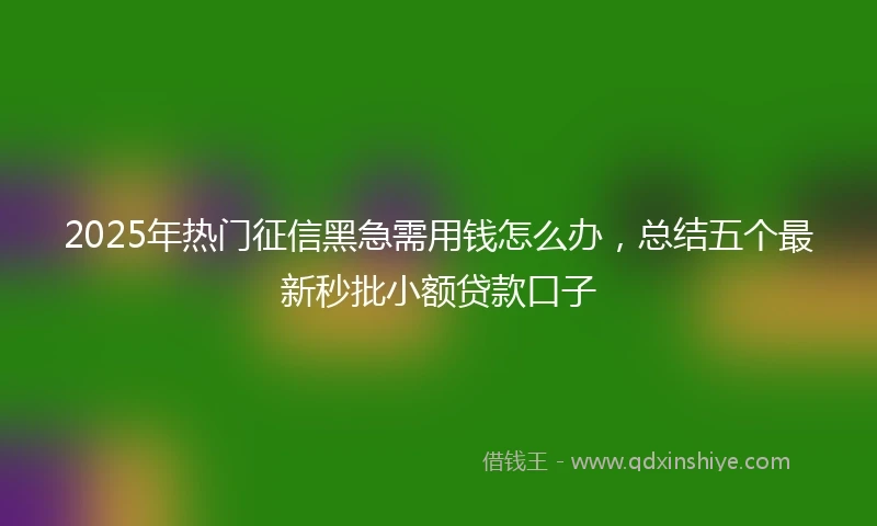 2025年热门征信黑急需用钱怎么办，总结五个最新秒批小额贷款口子