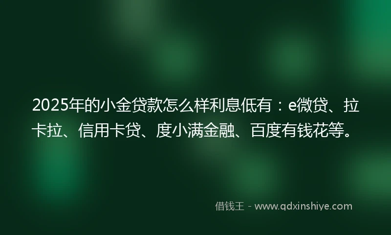 2025年的小金贷款怎么样利息低有：e微贷、拉卡拉、信用卡贷、度小满金融、百度有钱花等。