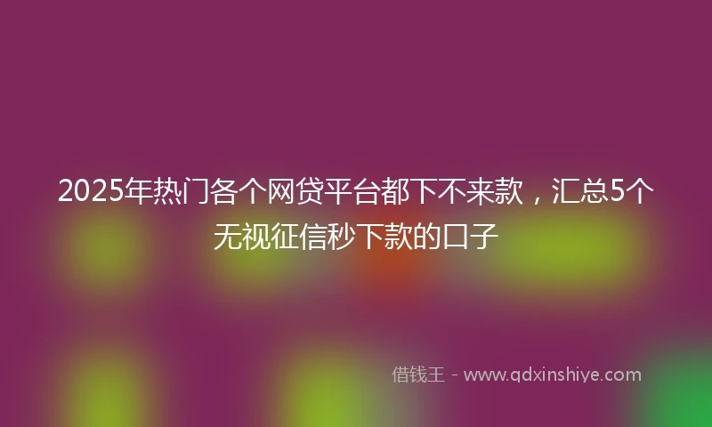 2025年热门各个网贷平台都下不来款，汇总5个无视征信秒下款的口子