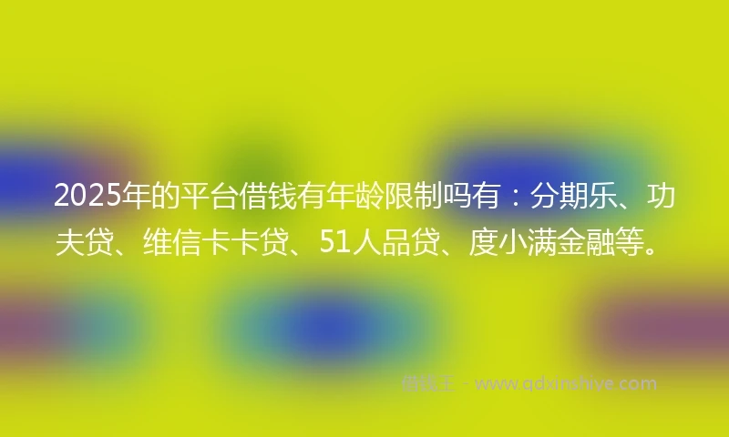 2025年的平台借钱有年龄限制吗有：分期乐、功夫贷、维信卡卡贷、51人品贷、度小满金融等。