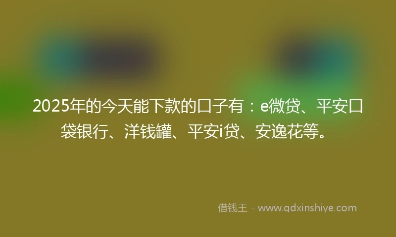 2025年的今天能下款的口子有：e微贷、平安口袋银行、洋钱罐、平安i贷、安逸花等。
