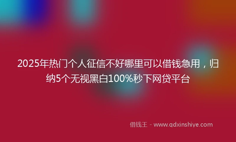 2025年热门个人征信不好哪里可以借钱急用，归纳5个无视黑白100%秒下网贷平台
