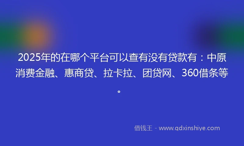 2025年的在哪个平台可以查有没有贷款有：中原消费金融、惠商贷、拉卡拉、团贷网、360借条等。