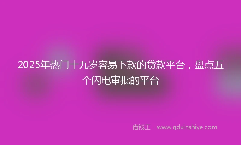 2025年热门十九岁容易下款的贷款平台，盘点五个闪电审批的平台