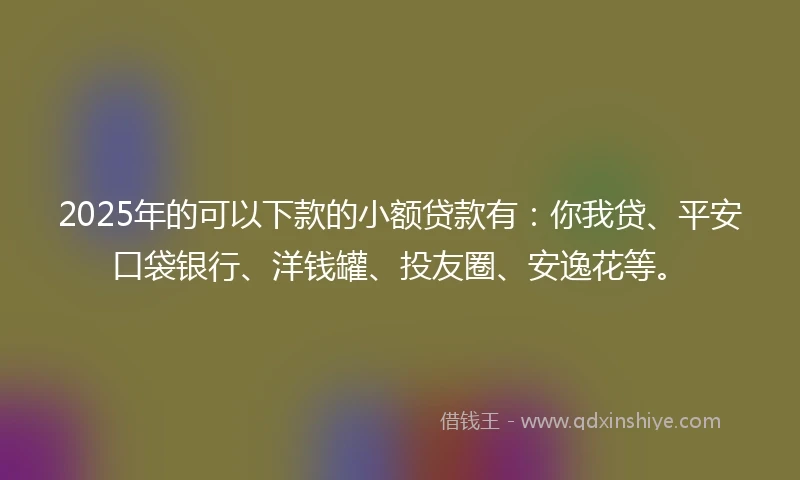 2025年的可以下款的小额贷款有：你我贷、平安口袋银行、洋钱罐、投友圈、安逸花等。