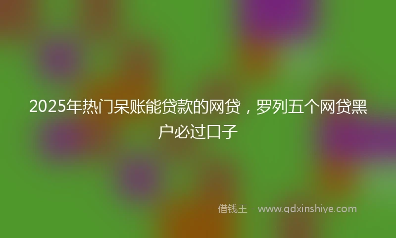 2025年热门呆账能贷款的网贷，罗列五个网贷黑户必过口子