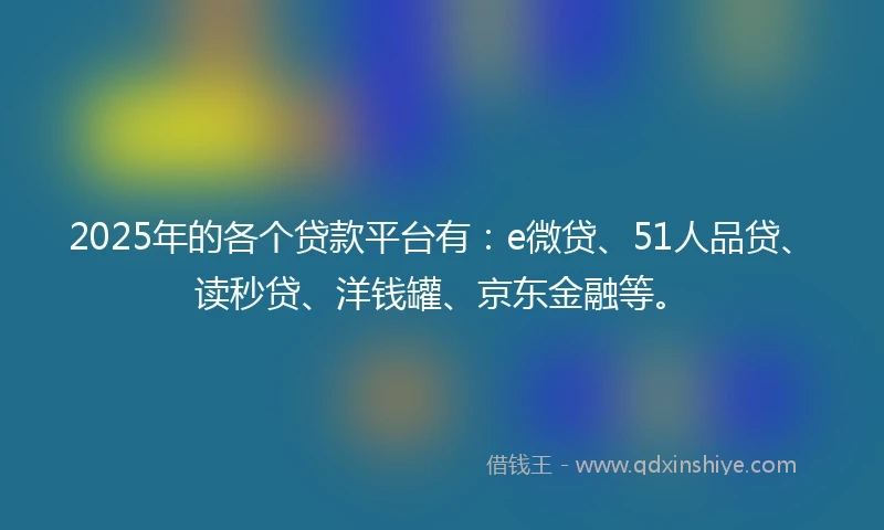 2025年的各个贷款平台有：e微贷、51人品贷、读秒贷、洋钱罐、京东金融等。