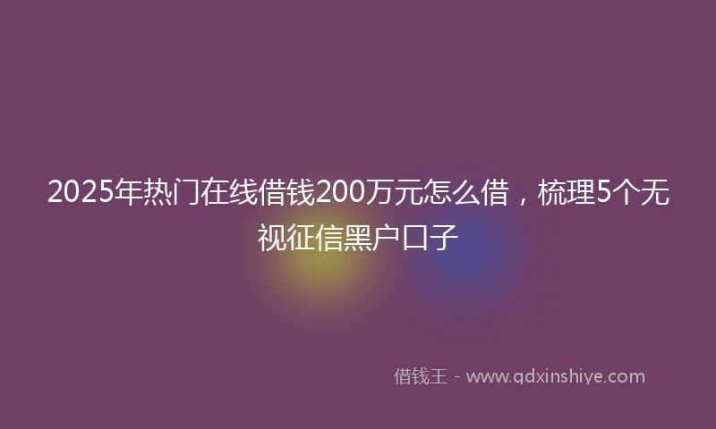 2025年热门在线借钱200万元怎么借，梳理5个无视征信黑户口子
