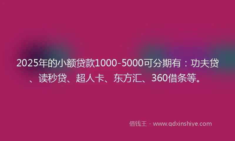 2025年的小额贷款1000-5000可分期有：功夫贷、读秒贷、超人卡、东方汇、360借条等。