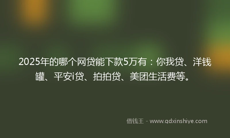 2025年的哪个网贷能下款5万有：你我贷、洋钱罐、平安i贷、拍拍贷、美团生活费等。