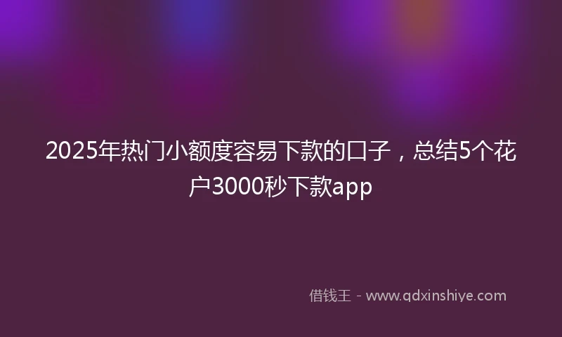 2025年热门小额度容易下款的口子，总结5个花户3000秒下款app