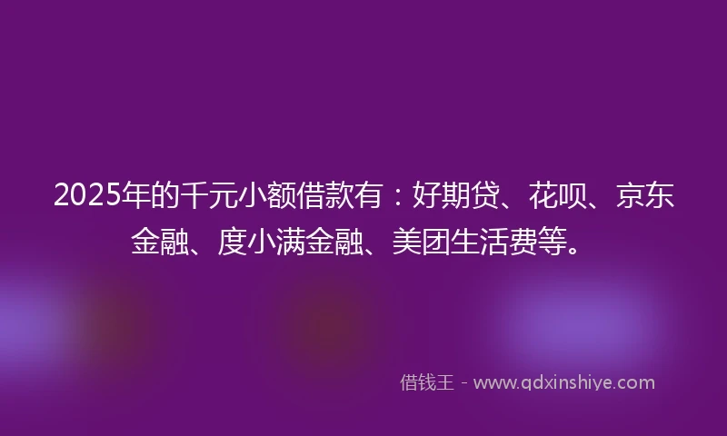 2025年的千元小额借款有：好期贷、花呗、京东金融、度小满金融、美团生活费等。