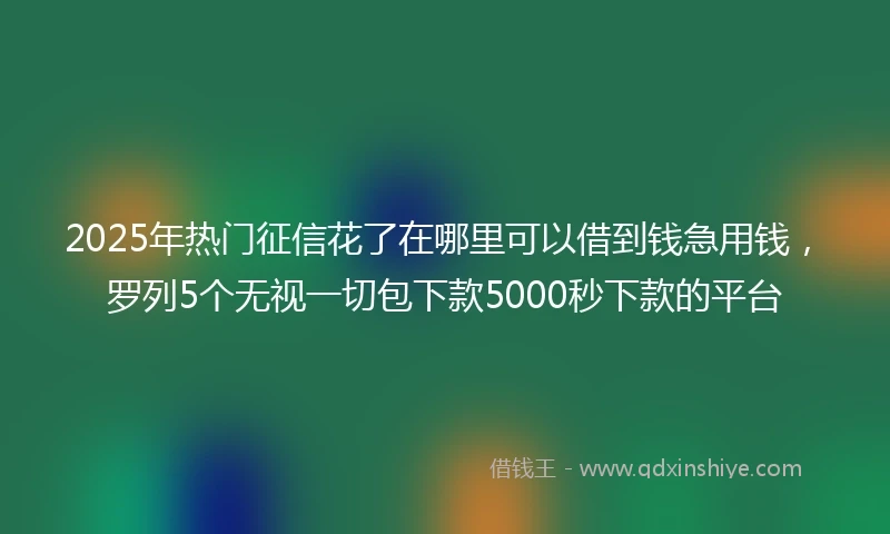 2025年热门征信花了在哪里可以借到钱急用钱，罗列5个无视一切包下款5000秒下款的平台