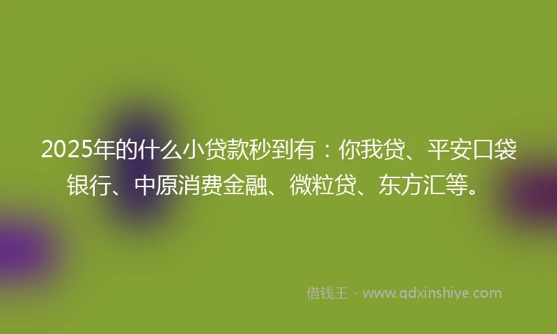 2025年的什么小贷款秒到有：你我贷、平安口袋银行、中原消费金融、微粒贷、东方汇等。