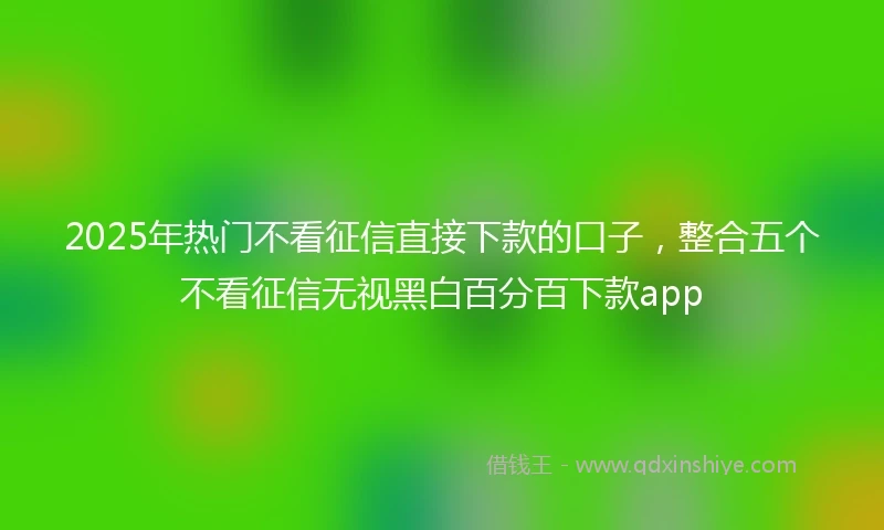 2025年热门不看征信直接下款的口子，整合五个不看征信无视黑白百分百下款app