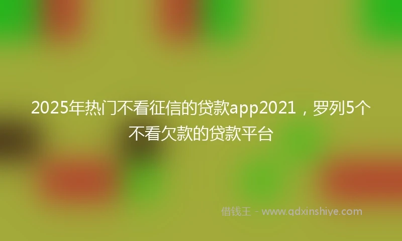 2025年热门不看征信的贷款app2021，罗列5个不看欠款的贷款平台