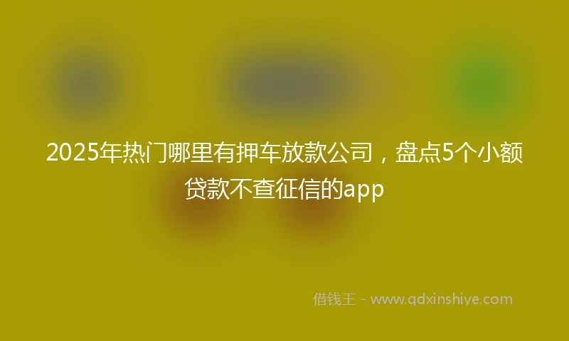 2025年热门哪里有押车放款公司，盘点5个小额贷款不查征信的app