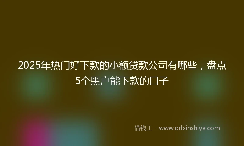 2025年热门好下款的小额贷款公司有哪些，盘点5个黑户能下款的口子