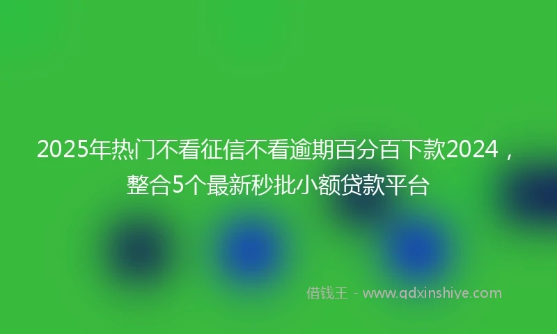 2025年热门不看征信不看逾期百分百下款2024，整合5个最新秒批小额贷款平台