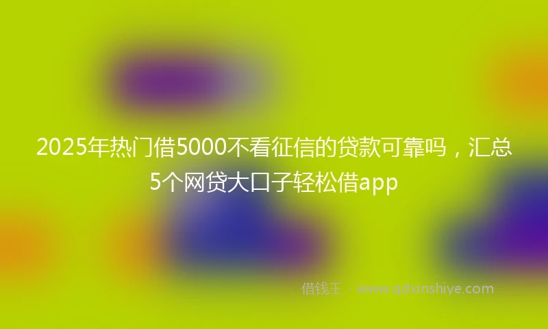 2025年热门借5000不看征信的贷款可靠吗，汇总5个网贷大口子轻松借app