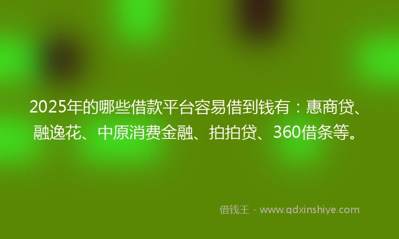 2025年的哪些借款平台容易借到钱有：惠商贷、融逸花、中原消费金融、拍拍贷、360借条等。
