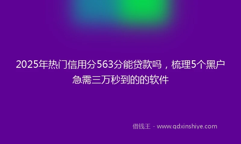 2025年热门信用分563分能贷款吗，梳理5个黑户急需三万秒到的的软件