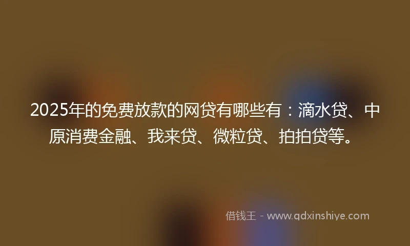 2025年的免费放款的网贷有哪些有：滴水贷、中原消费金融、我来贷、微粒贷、拍拍贷等。