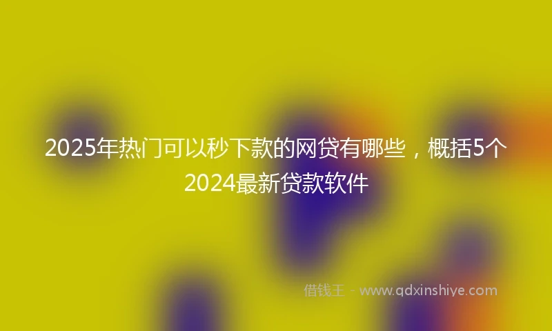 2025年热门可以秒下款的网贷有哪些，概括5个2024最新贷款软件