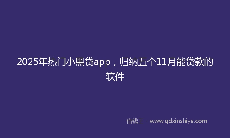2025年热门小黑贷app，归纳五个11月能贷款的软件