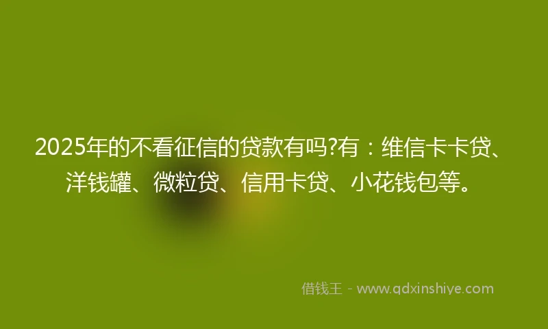 2025年的不看征信的贷款有吗?有：维信卡卡贷、洋钱罐、微粒贷、信用卡贷、小花钱包等。