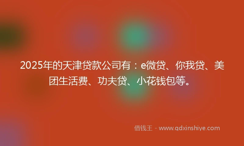 2025年的天津贷款公司有：e微贷、你我贷、美团生活费、功夫贷、小花钱包等。