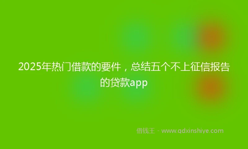 2025年热门借款的要件，总结五个不上征信报告的贷款app